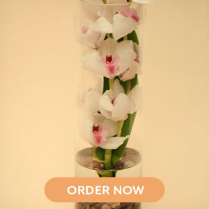 Salisbury Greenhouse -Order Flowers Online for Mothers Day 2022-orchid vase