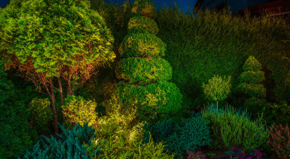 Salisbury Greenhouse-Sherwood Park-Alberta-Atmospheric Nighttime Lighting-Highlight Plants