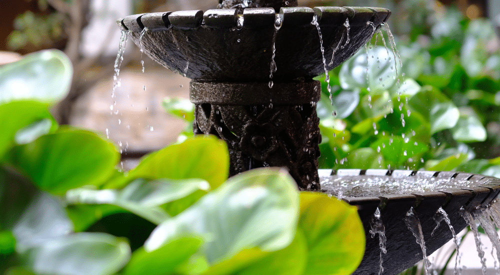 Salisbury Greenhouse-Sherwood Park-Alberta- Backyard Water Feature Ideas-fountain dripping