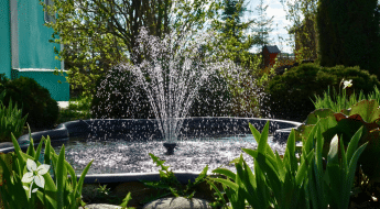Salisbury Greenhouse-Sherwood Park-Alberta- Backyard Water Feature Ideas-fountain spray