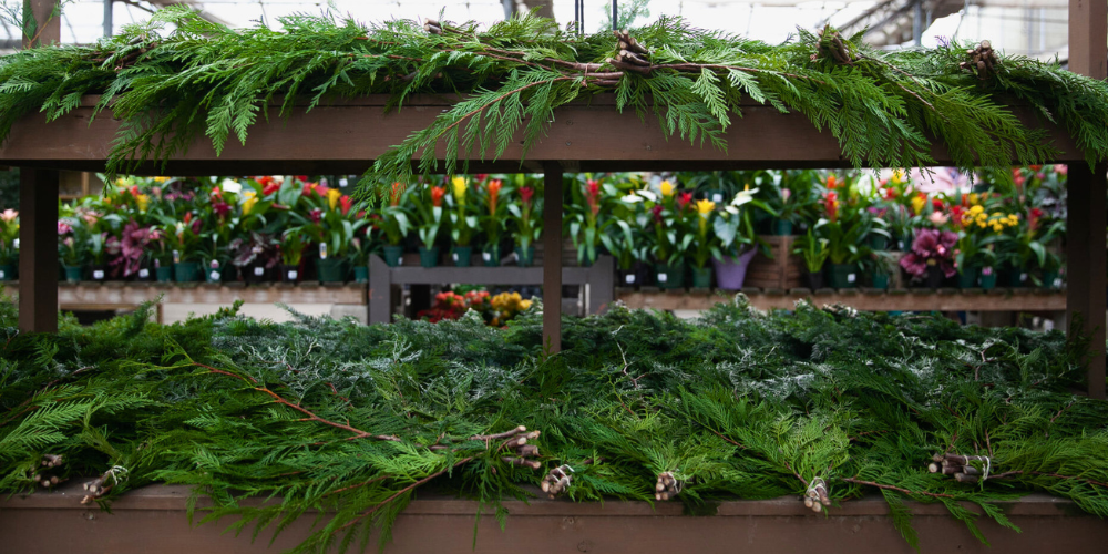 Salisbury Greenhouse-Sherwood Park-Alberta-Decorating with Christmas evergreens-greens for sale