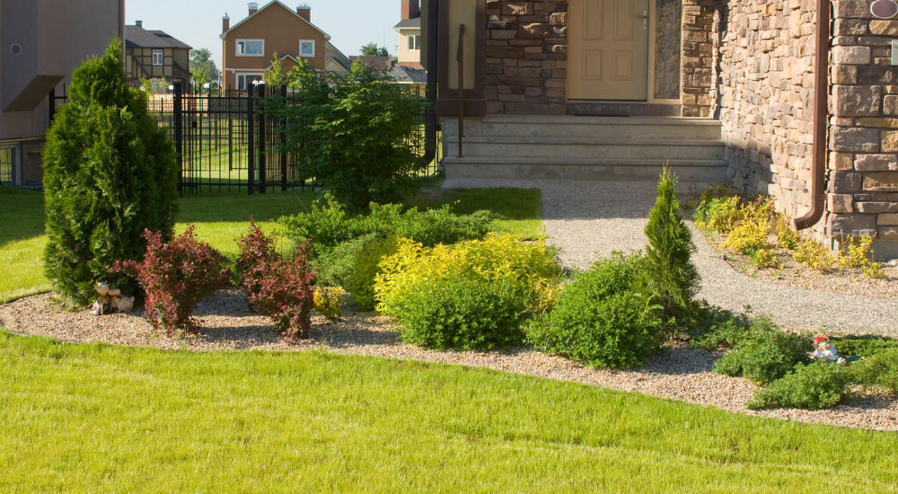 Salisbury Greenhouse-Sherwood Park-Alberta-Early Inspiration for an Evergreen Refresh-evergreens in front yard