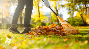 Salisbury Greenhouse-Sherwood Park-Alberta-Fall Lawn Care for a Stronger Spring-Hero