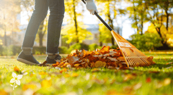 Salisbury Greenhouse-Sherwood Park-Alberta-Fall Lawn Care for a Stronger Spring-Hero