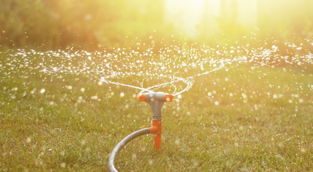 Salisbury Greenhouse-Sherwood Park-Alberta-Fall Lawn Care for a Stronger Spring-Watering Grass