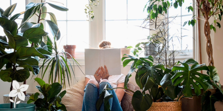 Salisbury Greenhouse-Sherwood Park-Alberta-How Houseplants Improve Mood and Mind