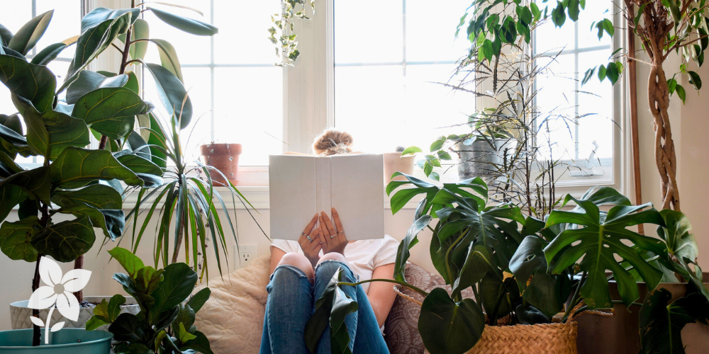 Salisbury Greenhouse-Sherwood Park-Alberta-How Houseplants Improve Mood and Mind