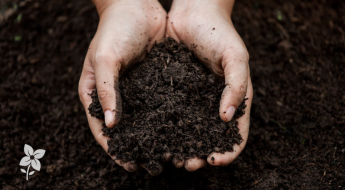 Salisbury Greenhouse-Sherwood Park-Alberta-Improving Your Soil This Fall For Better Results Next Seaso-Hero