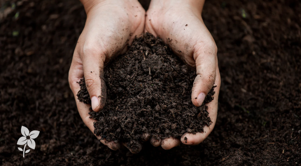 Salisbury Greenhouse-Sherwood Park-Alberta-Improving Your Soil This Fall For Better Results Next Seaso-Hero