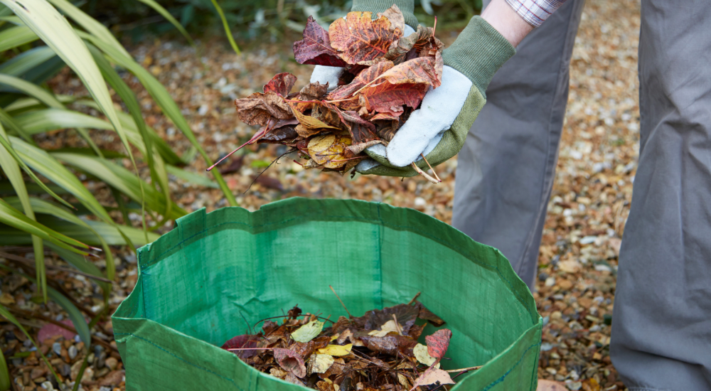 Salisbury Greenhouse-Sherwood Park-Alberta-Improving Your Soil This Fall For Better Results Next Season-Organic Matter