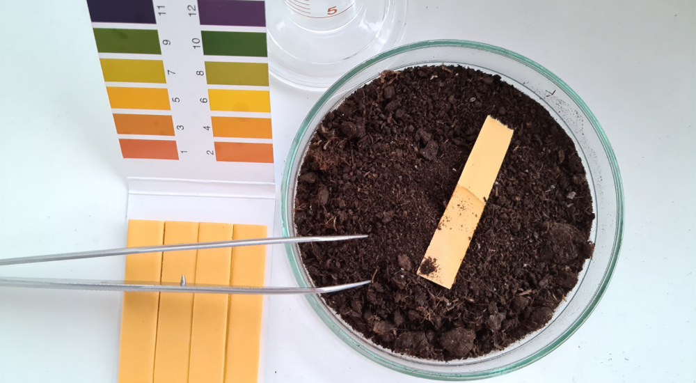 Salisbury Greenhouse-Sherwood Park-Alberta-Improving Your Soil This Fall For Better Results Next Season-Ph Soil Test