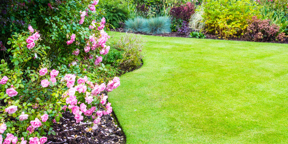 Salisbury Greenhouse-Sherwood Park-Alberta-Late Summer Lawn Fertilizer