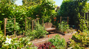 Salisbury Greenhouse-Sherwood Park-Alberta-Mid-Summer Pest Check-What to Look For-Hero