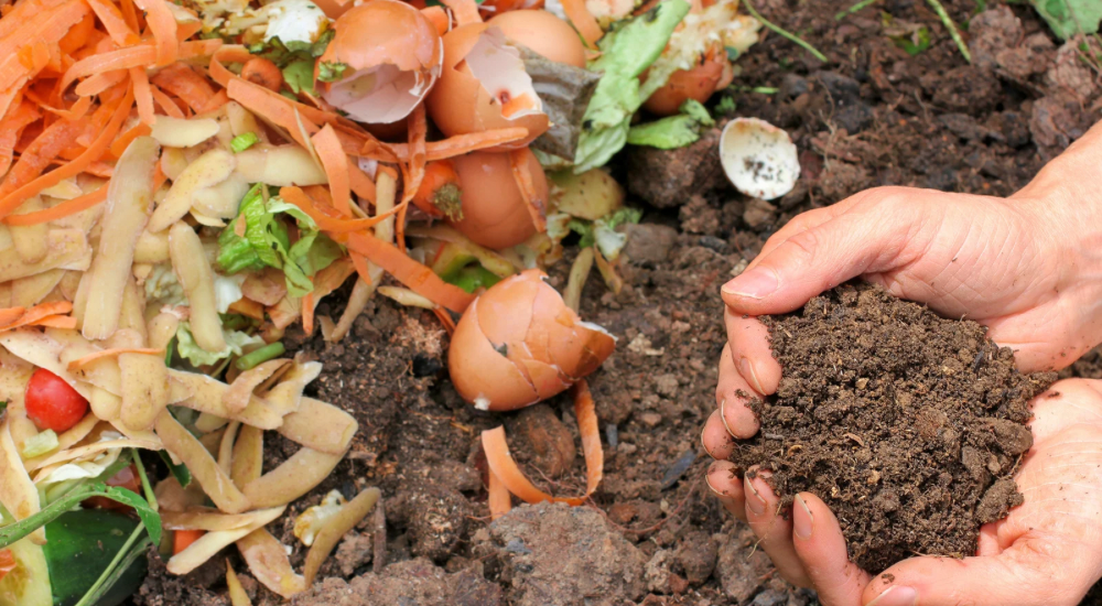 Salisbury Greenhouse-Sherwood Park-Alberta-Planning Your Autumn Garden Now-Composting Soil