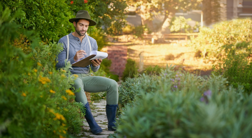 Salisbury Greenhouse-Sherwood Park-Alberta-Planning Your Autumn Garden Now-Garden Notes