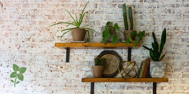 Salisbury Greenhouse-Sherwood Park-Alberta-Plant Shelf Goals
