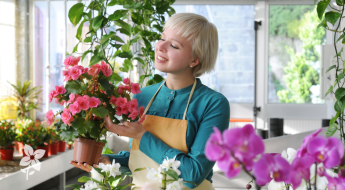 Salisbury Greenhouse-Sherwood Park-Alberta-Preparing Tender Plants for Life Indoors-Hero