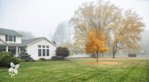 Salisbury Greenhouse Sherwood Park -Alberta Protecting Young Trees and Shrubs Before Winter Hero