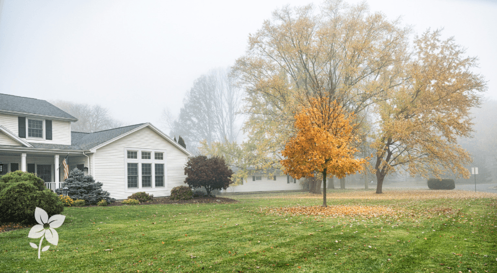 Salisbury Greenhouse Sherwood Park -Alberta Protecting Young Trees and Shrubs Before Winter Hero