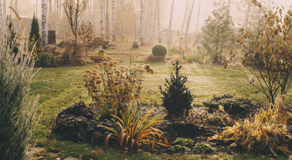 Salisbury-Greenhouse-Sherwood-Park-Alberta-Rethinking-Fall-Garden-Cleanup-Clean-Without-Eliminating-Character