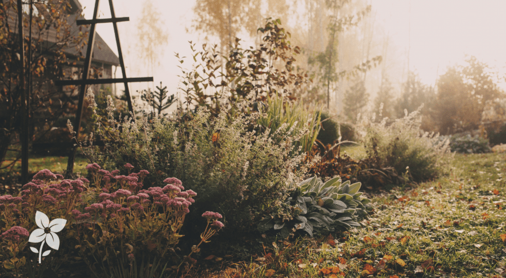 Salisbury Greenhouse Sherwood Park Alberta Rethinking Fall Garden Cleanup Hero