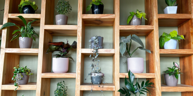 Salisbury Greenhouse - Sherwood Park-Alberta-Vertical houseplant wall ideas