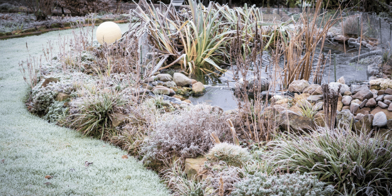 Salisbury Greenhouse-Sherwood Park-Alberta-Water Features in Winter