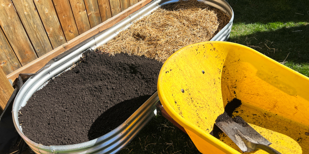 Salisbury Greenhouse-Sherwood Park-Alberta-building a raised garden bed