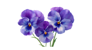 Salisbury Greenhouse-Sherwood Park-Alberta-growing pansies