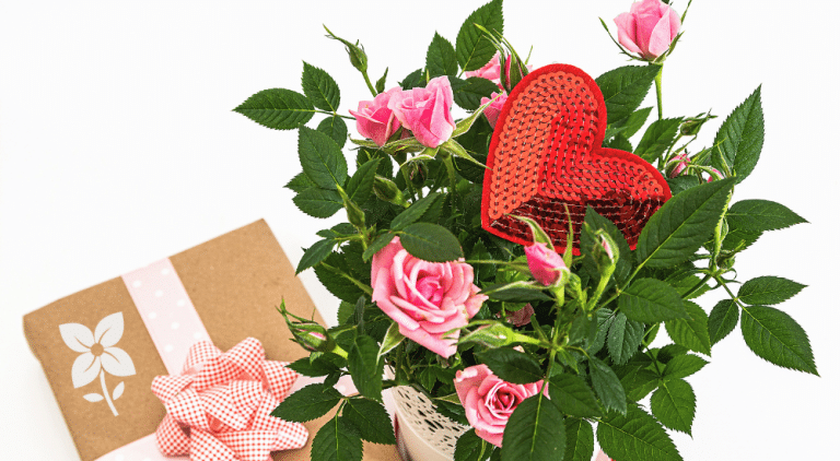 Salisbury Greenhouse-Sherwood Park-Alberta-mini gift guide for gardener