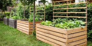 Salisbury Greenhouse-Sherwood Park-Alberta-raised garden beds in backyard