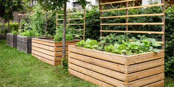 Salisbury Greenhouse-Sherwood Park-Alberta-raised garden beds in backyard