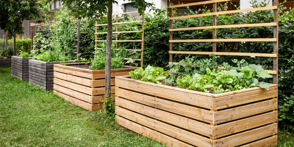 Salisbury Greenhouse-Sherwood Park-Alberta-raised garden beds in backyard