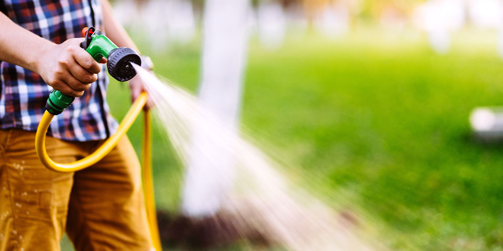 Salisbury Greenhouse -Survival Tips for Summer Heat Waves-person watering garden