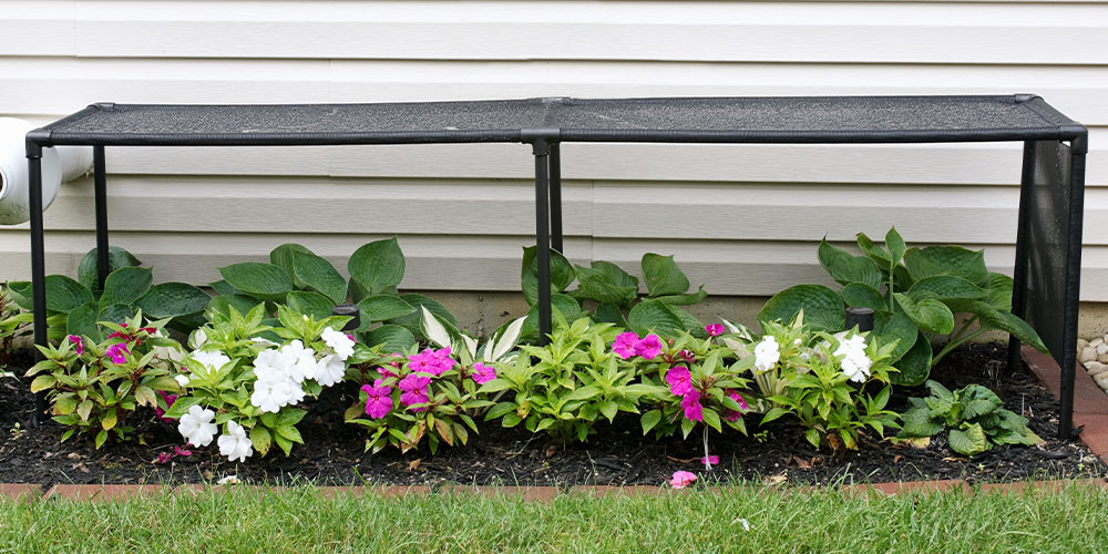 Salisbury Greenhouse -Survival Tips for Summer Heat Waves-sun shade for garden plants
