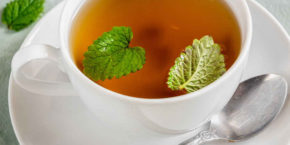 Salisbury Greenhouse Tea-riffic Tea GardenSalisbury Greenhouse lemon balm tea