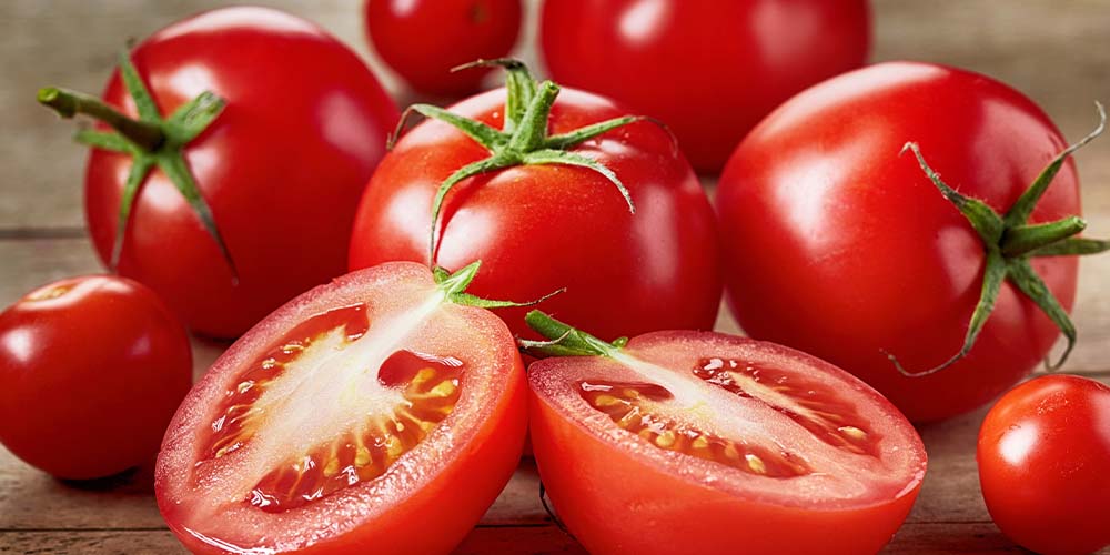 Salisbury greenhouse slicer tomato
