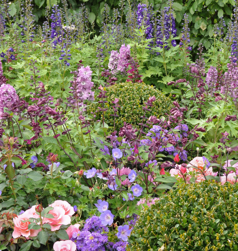 Five Flawless Colour Theme Designs for Perennial Gardens - Salisbury ...