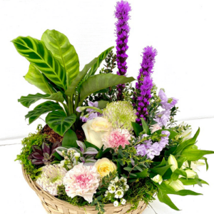 salisbury at enjoy floral studio oval floral arrangement