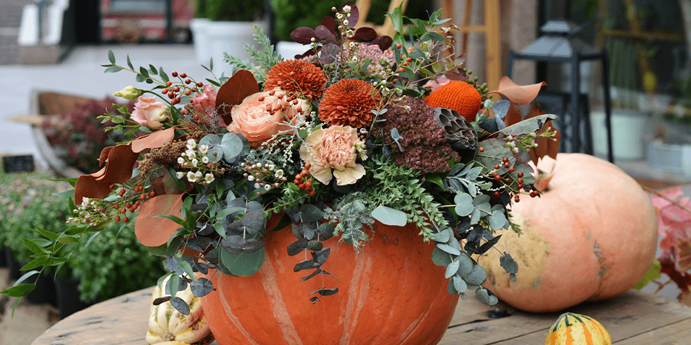 salisbury at enjoy floral studio thanksgiving pumpkin centrepiece