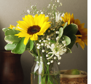 salisbury at enjoy floral studio sunflowers in vase
