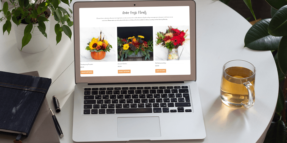 Salisbury at Enjoy Floral Studio web search for flowers
