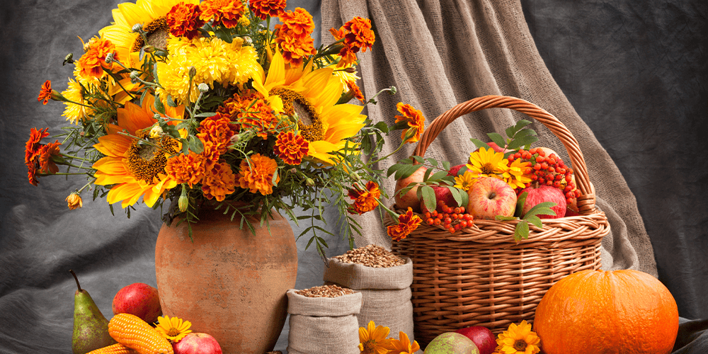 salisbury at enjoy floral studio thanksgiving centrepiece 