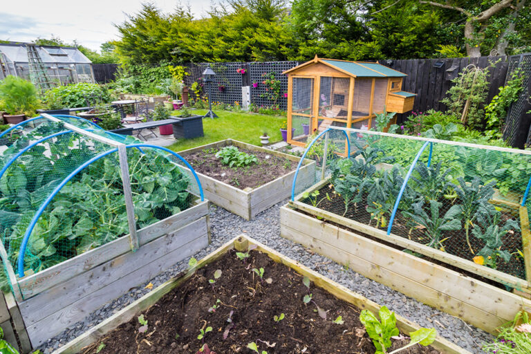 The Urban Farmer feature vegetable garden chicken coop - Salisbury Greenhouse