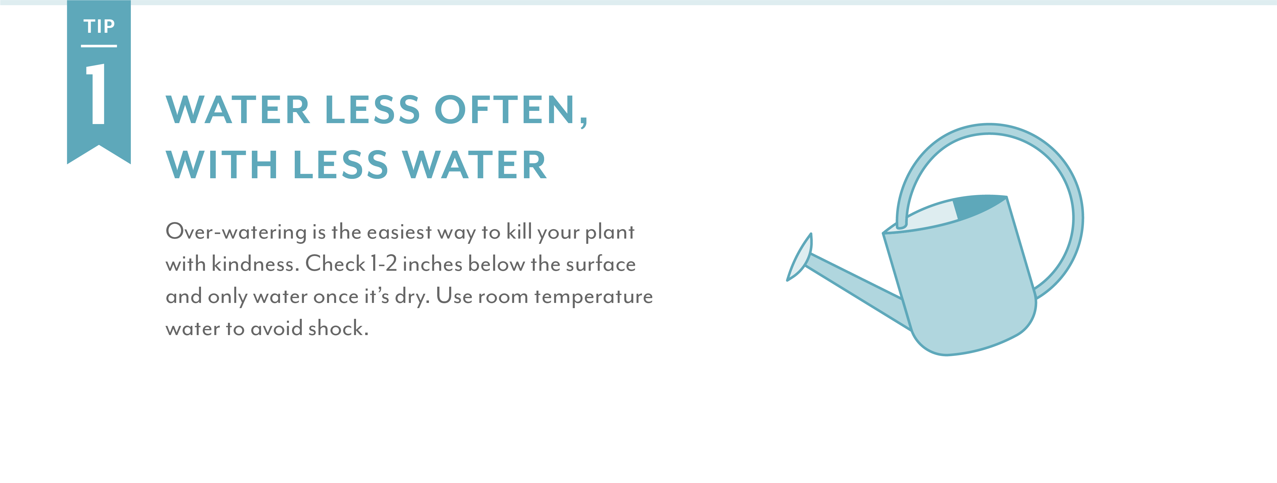 Salisbury Greenhouse | Water less often, with less water Over-watering is the easiest way to kill your plant with kindness. Check 1-2 inches below the surface and only water once itâ€™s dry. Use room temperature water to avoid shock.