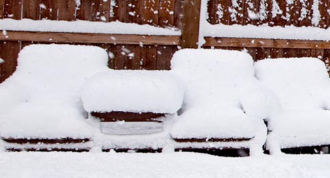 Snow covered chairs, Winter | | Salisbury Greenhouse, St. Albert, Sherwood Park