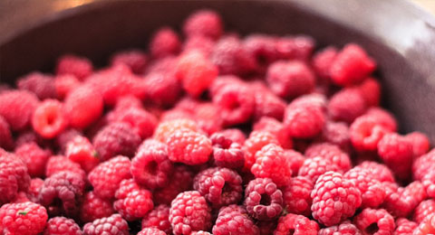 Close up image of a pile of raspberries | Salisbury Greenhouse - St. Albert, Sherwood Park