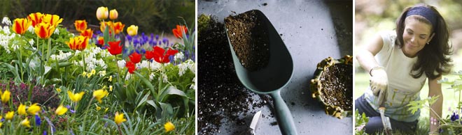 Gardening as an Antidepressant