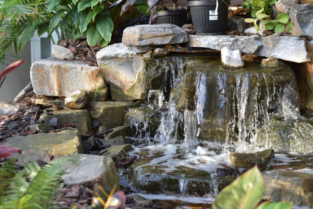 Closeup of water feature | Salisbury Greenhouse - St. Albert, Sherwood Park