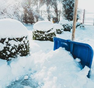Salisbury Greenhouse-Alberta-Managing Snow in the Landscape-shovel in snow